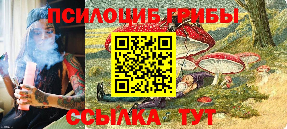 Хабаровск  Галлюциногенные грибы мицелий  сколько стоит  Вход с VPN 